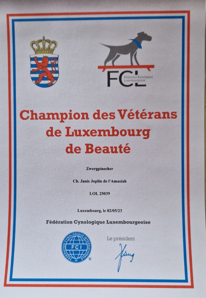 Du Mas Des Ravins - Championne des Vétérans de Luxembourg