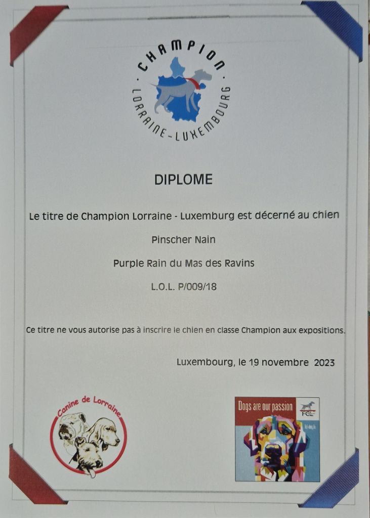 Du Mas Des Ravins - Champion Lorraine-Luxembourg