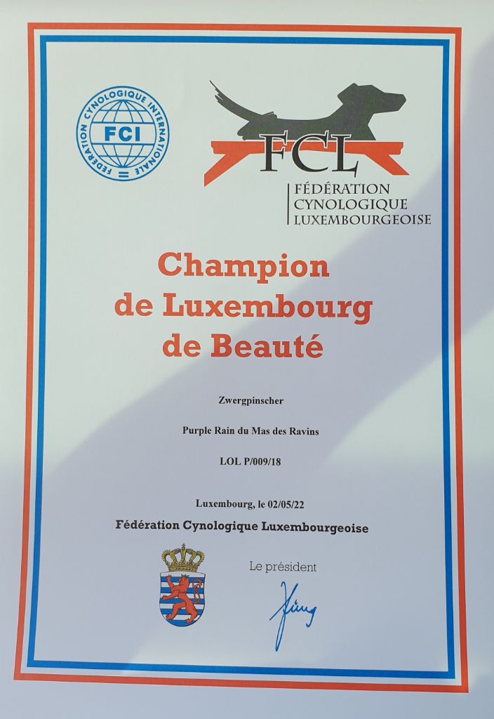 Du Mas Des Ravins - Champion de Luxembourg