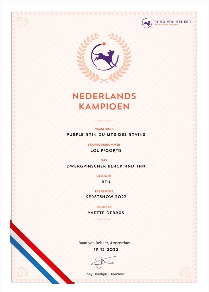 Du Mas Des Ravins - Champion des Pays Bas