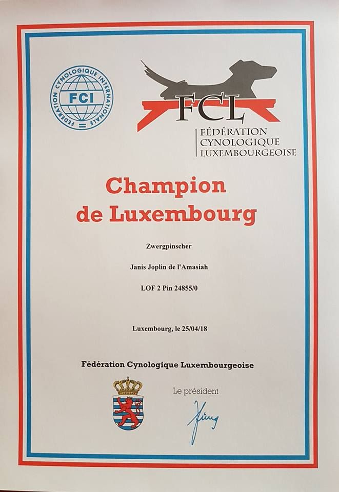 Du Mas Des Ravins - Championne de Luxembourg